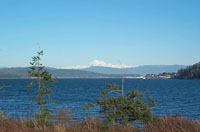 Mt. Baker